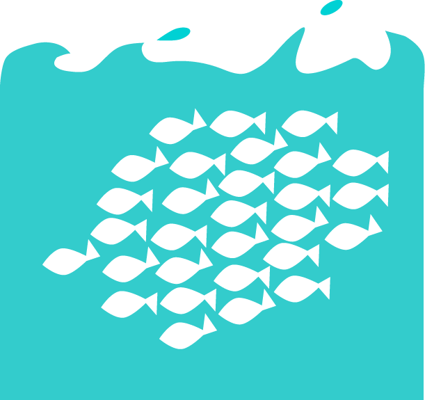 school of fish